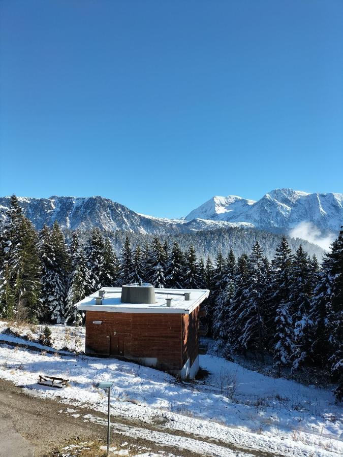 Appartement Le Sorbier A Chamrousse 3 Pieces 6 Personnes Aux Pieds Des Pistes Exterior photo